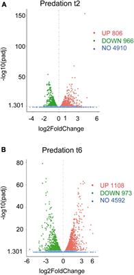 Transcriptomic response of Sinorhizobium meliloti to the predatory attack of Myxococcus xanthus